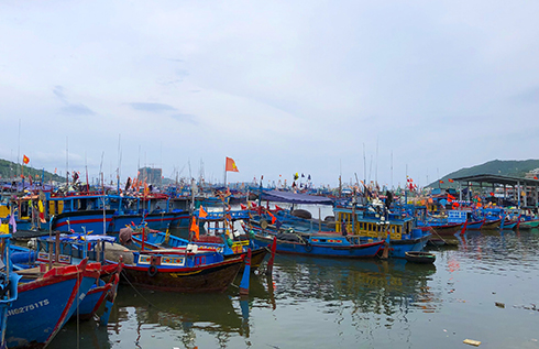 Tạo thuận lợi cho tàu cá cập cảng